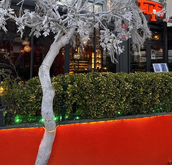 Kuytu Meze Balık - Ankara Meyhane - 15. Fotoğraf