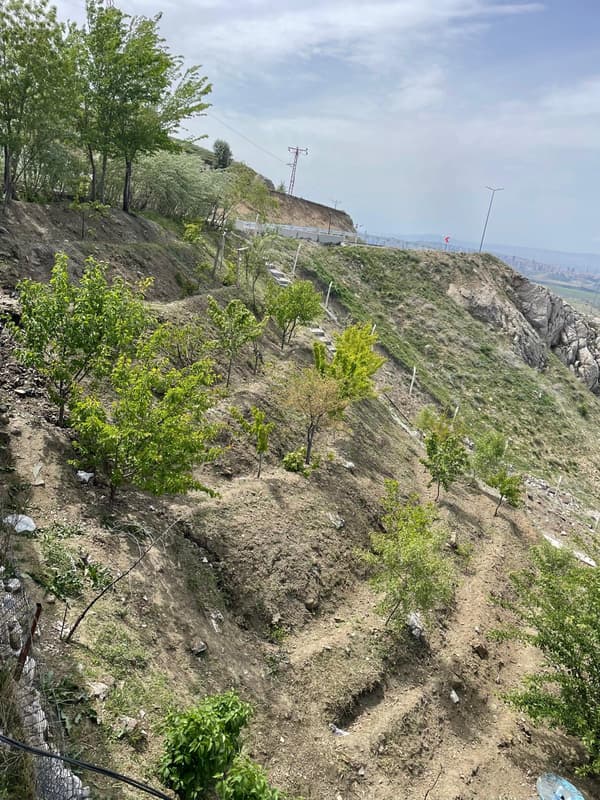 Şairin Yeri - 40. Fotoğraf Şairin Yeri - 40. Fotoğraf