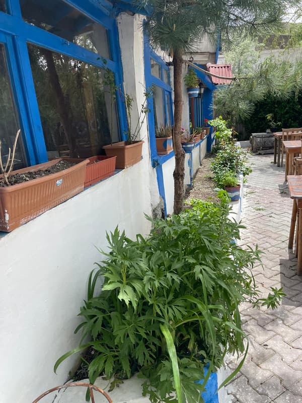 Şairin Yeri - 36. Fotoğraf Şairin Yeri - 36. Fotoğraf