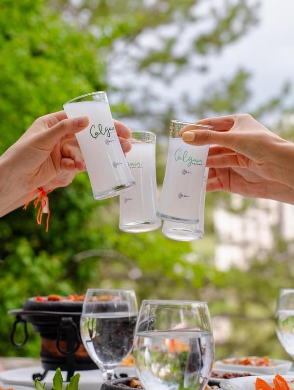 Çalgan Saklıköy - 11. Fotoğraf