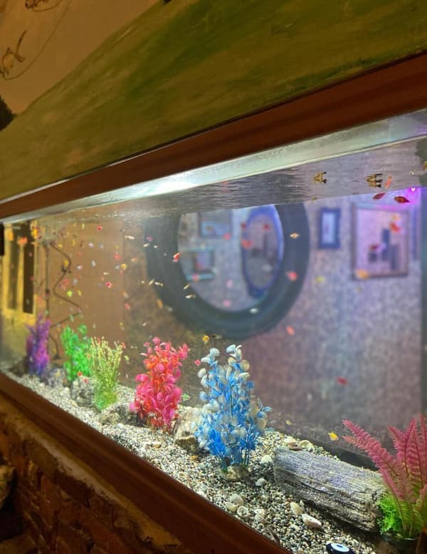 Trio Meyhane - 10. Fotoğraf