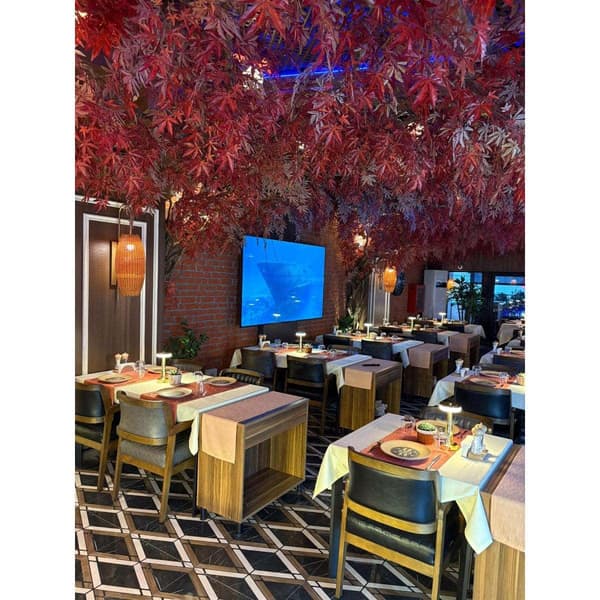 Palmiye Restoran - 1. Fotoğraf