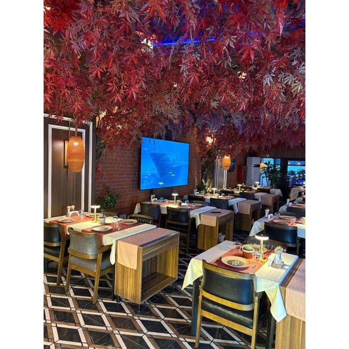 Palmiye Restoran - 1. Fotoğraf