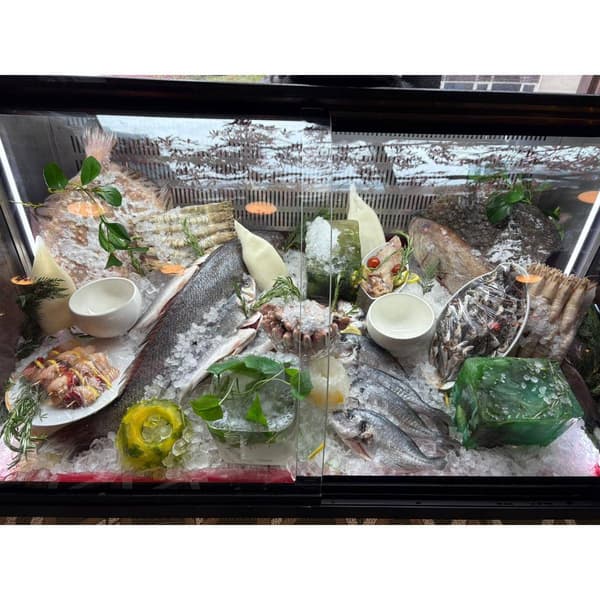 Palmiye Restoran - 11. Fotoğraf