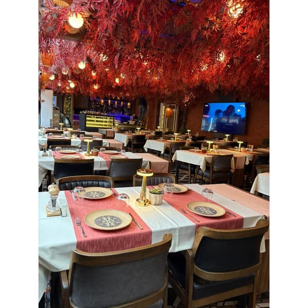 Palmiye Restoran - 16. Fotoğraf