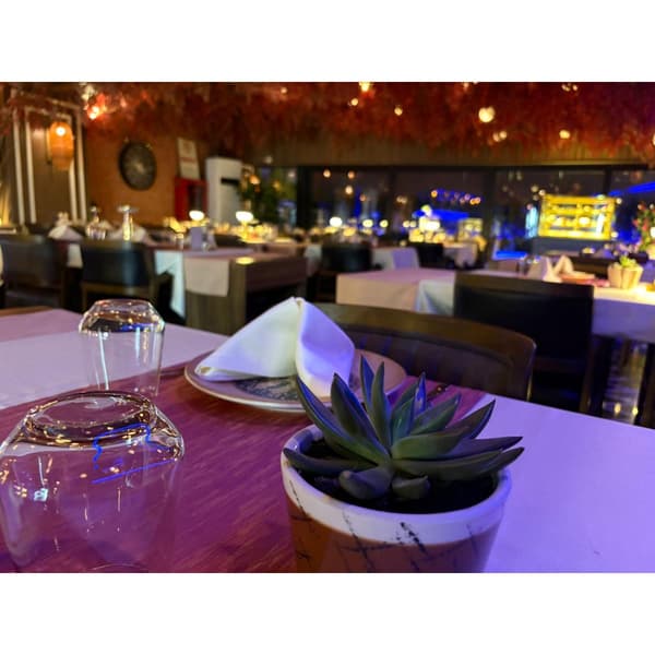 Palmiye Restoran - 7. Fotoğraf